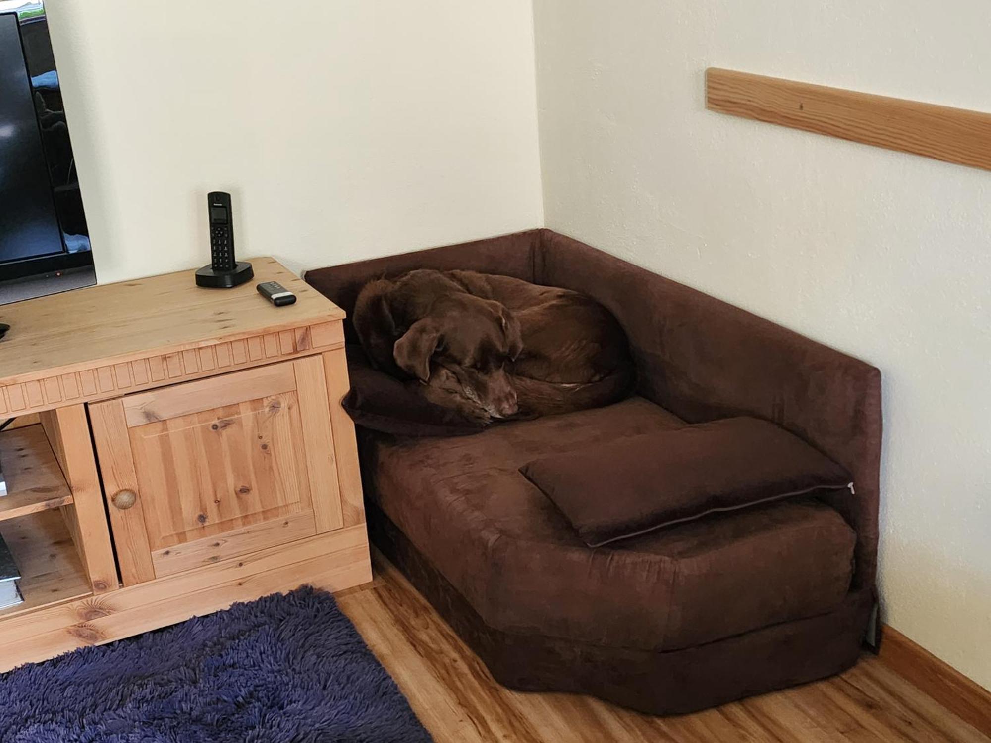 Ferienwohnung Baer فوهنشتراوس المظهر الخارجي الصورة